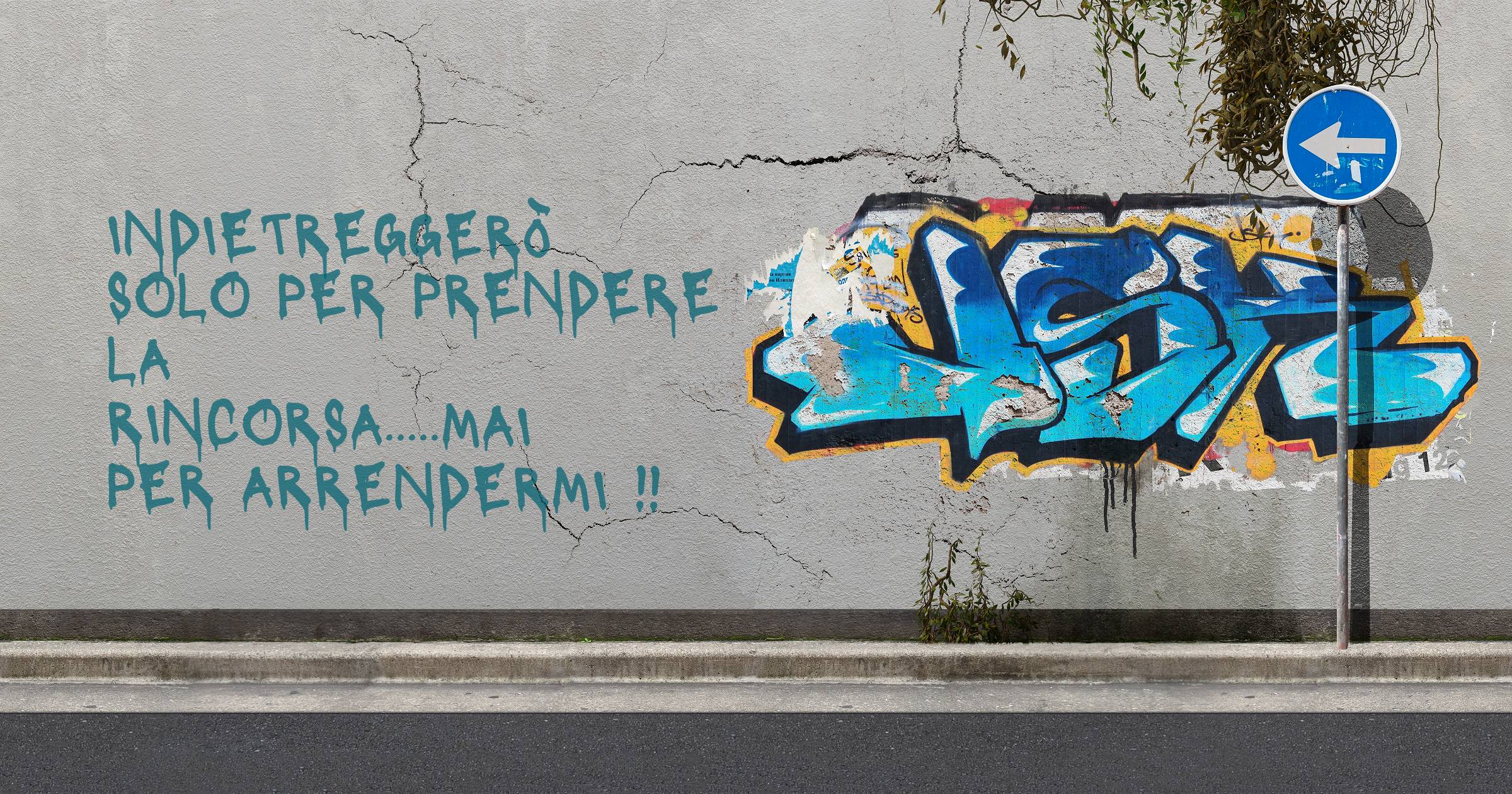 Indietreggerò solo per prendere la rincorsa.....mai per arrendermi !!