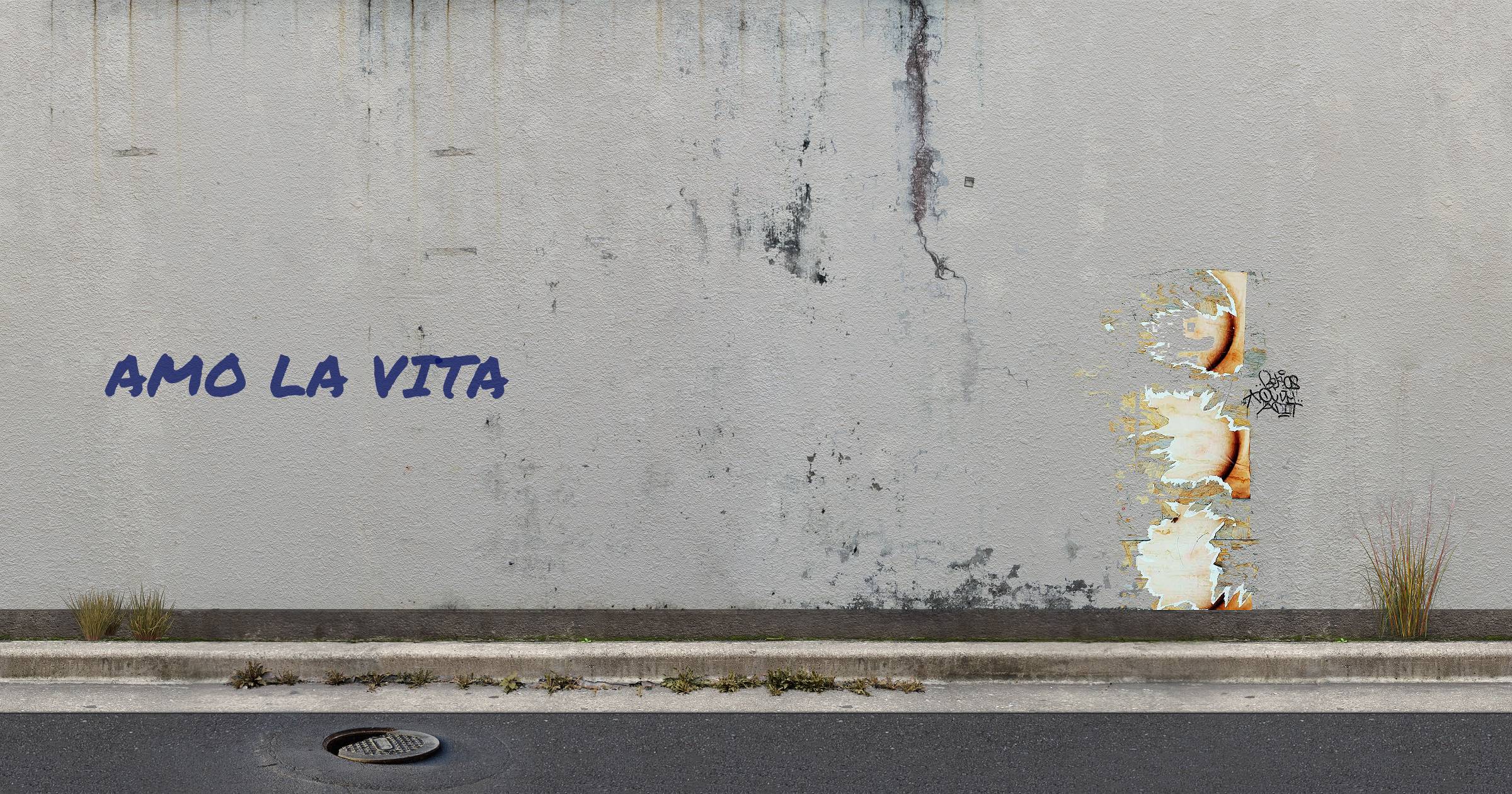 AMO LA VITA