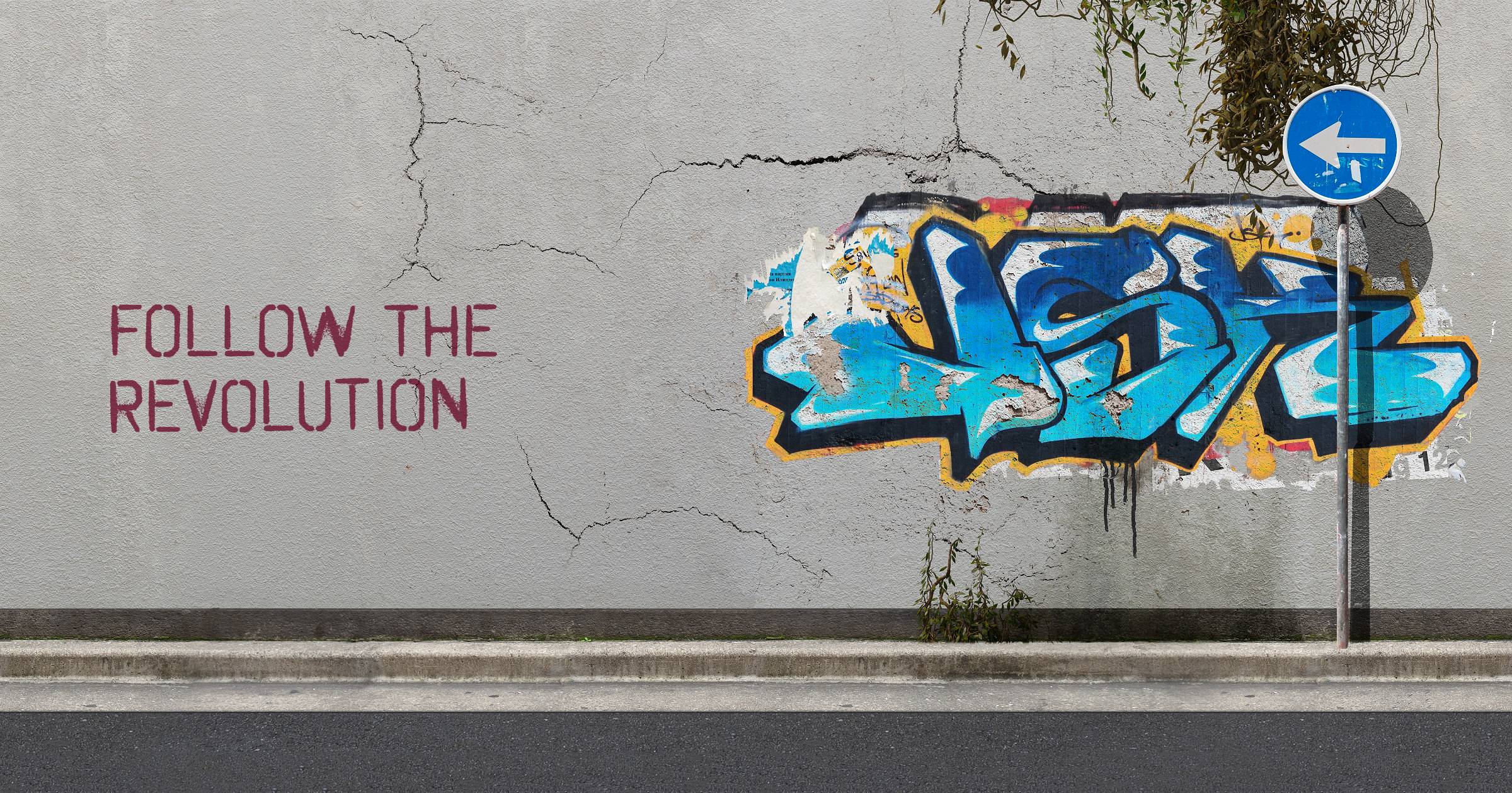 Follow the Revolution