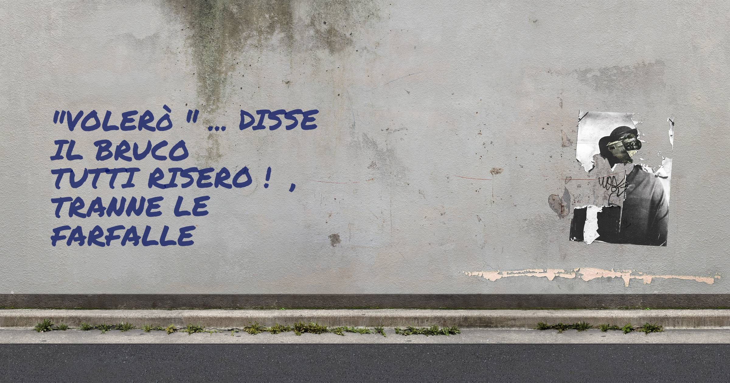 'volerò ' ... disse il bruco tutti risero ! , tranne le farfalle