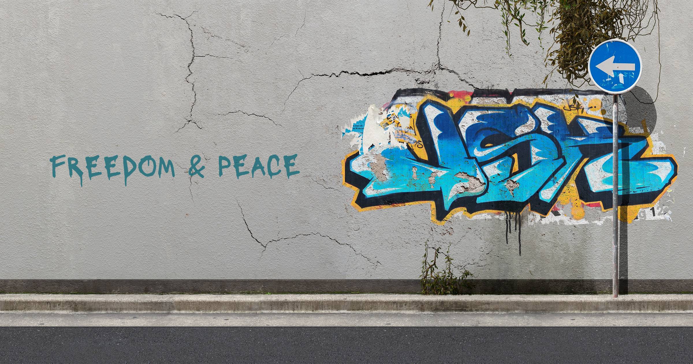 Freedom & Peace