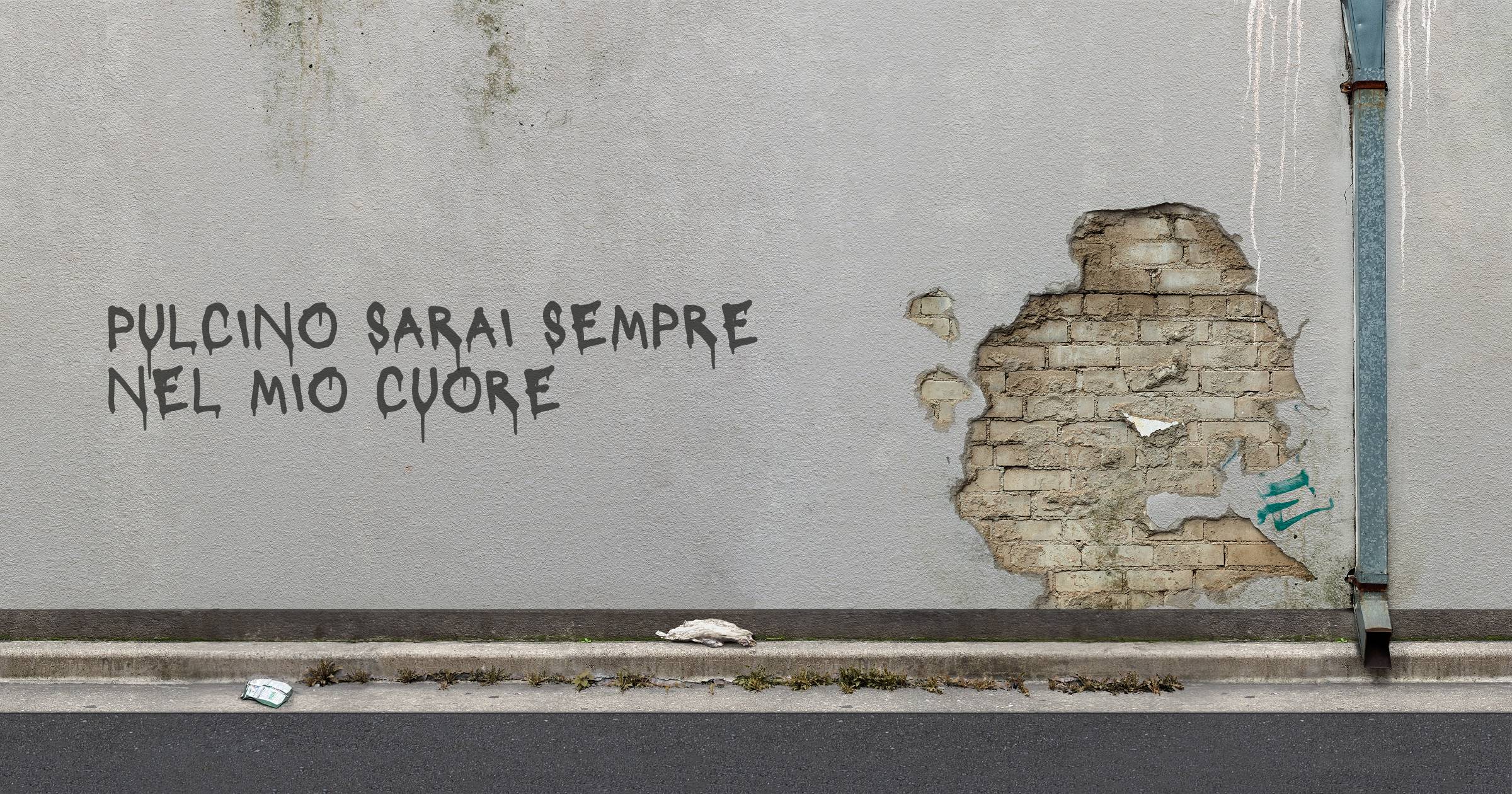PULCINO SARAI SEMPRE NEL MIO CUORE