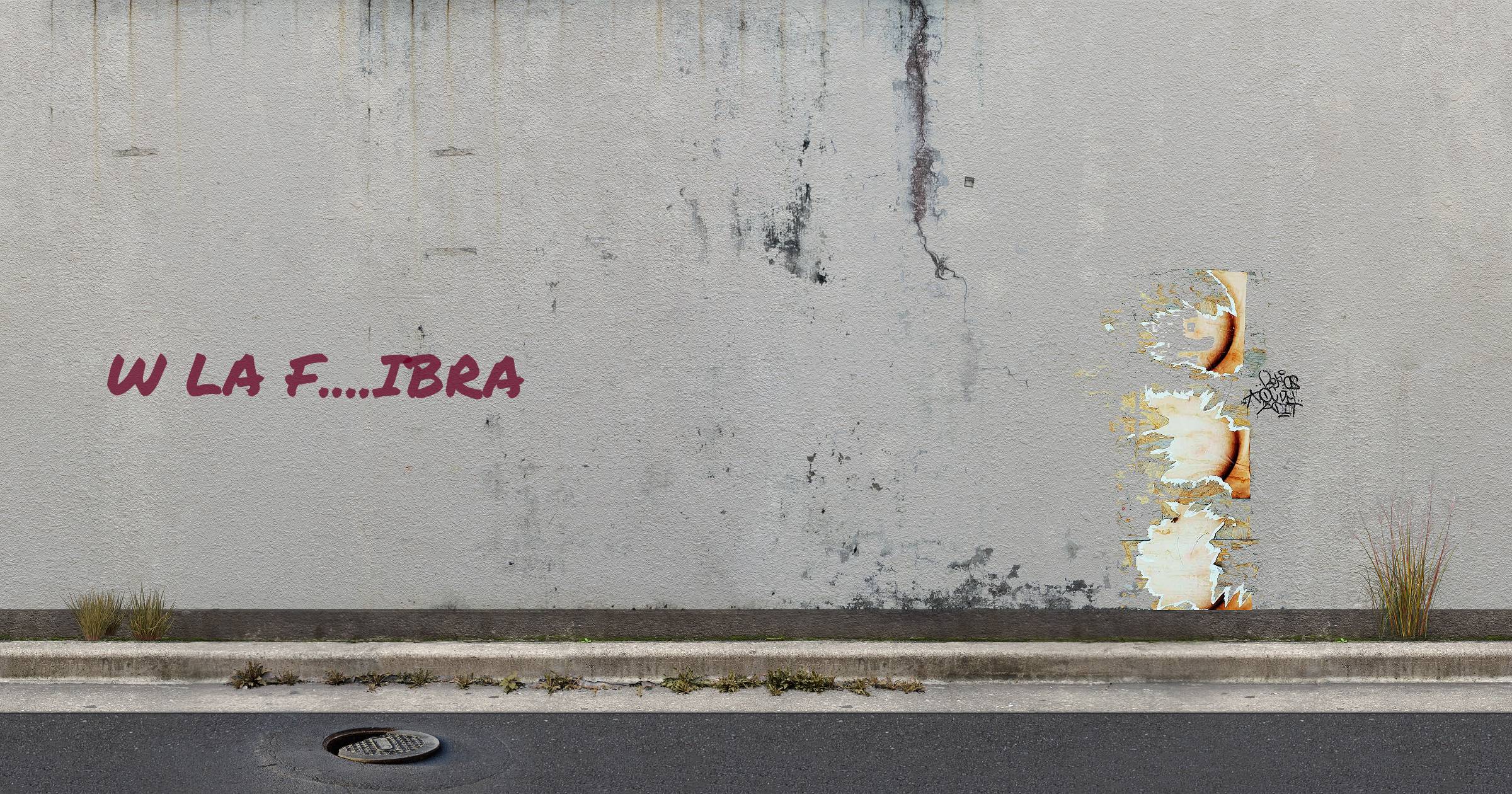 W la F....ibra