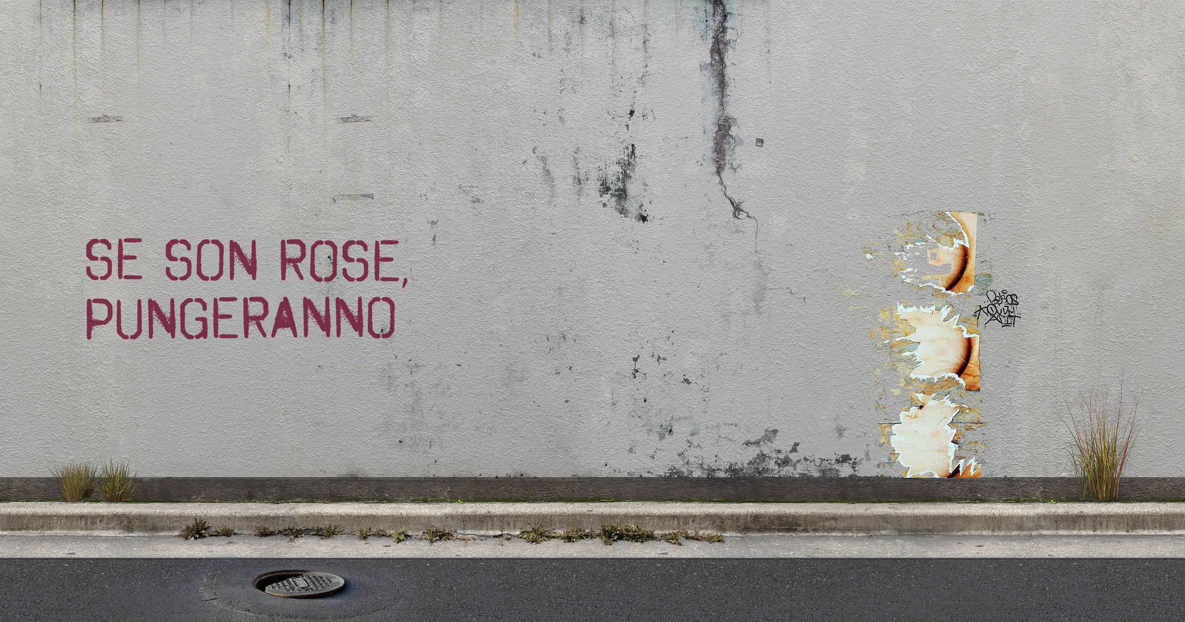 Se son rose, pungeranno