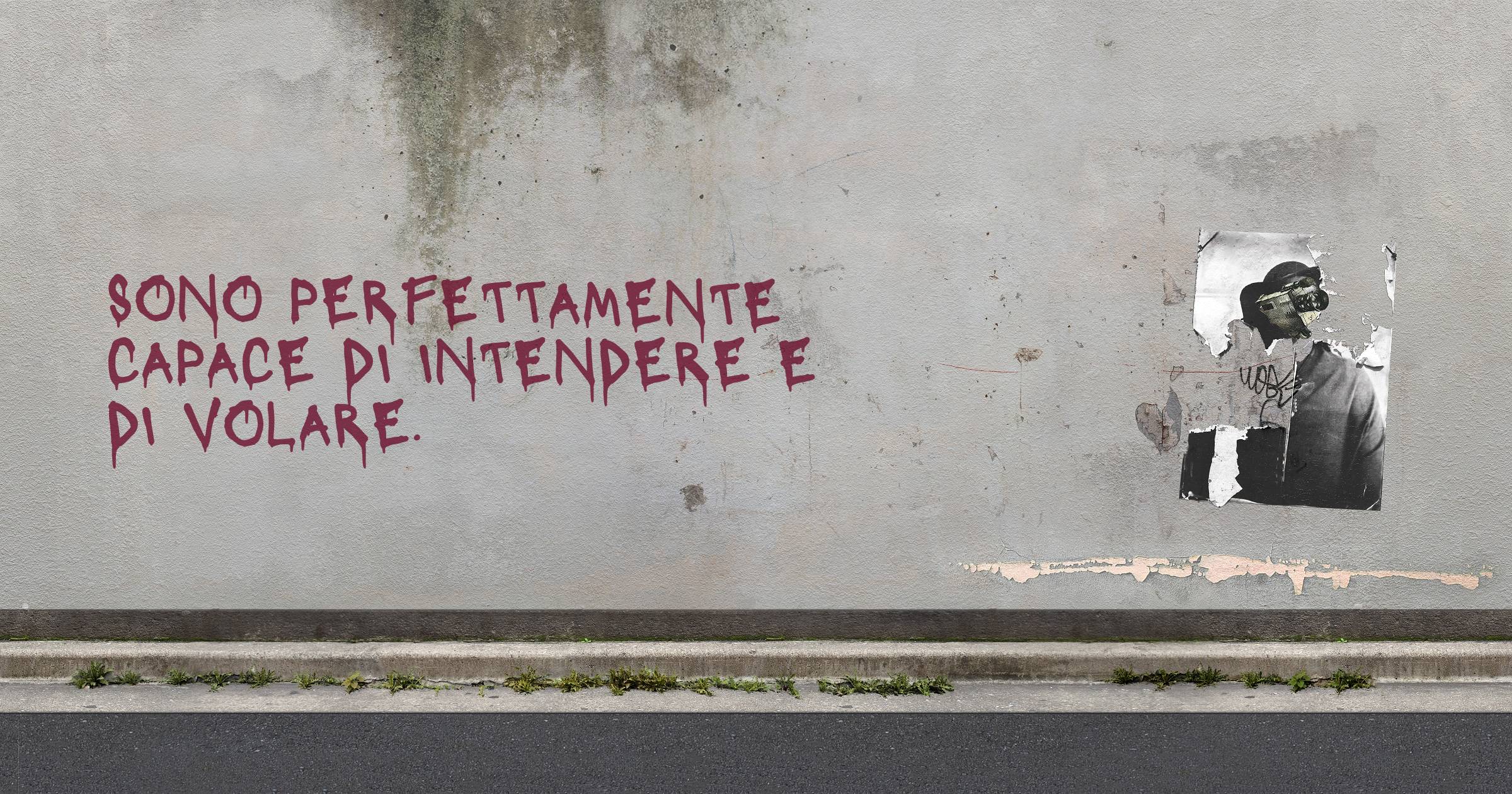 Sono perfettamente capace di intendere e di volare.