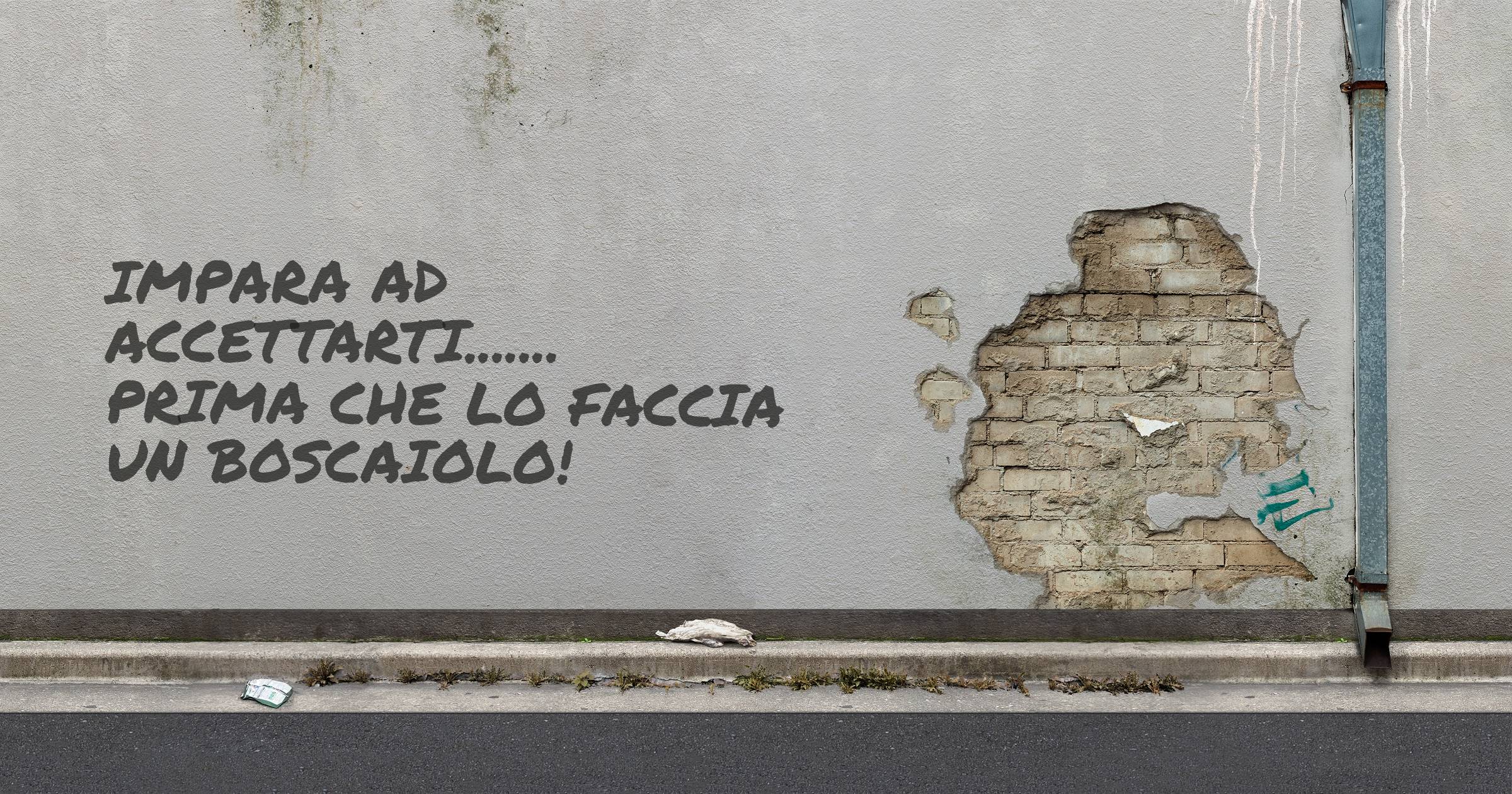 Impara ad accettarti....... prima che lo faccia un boscaiolo!