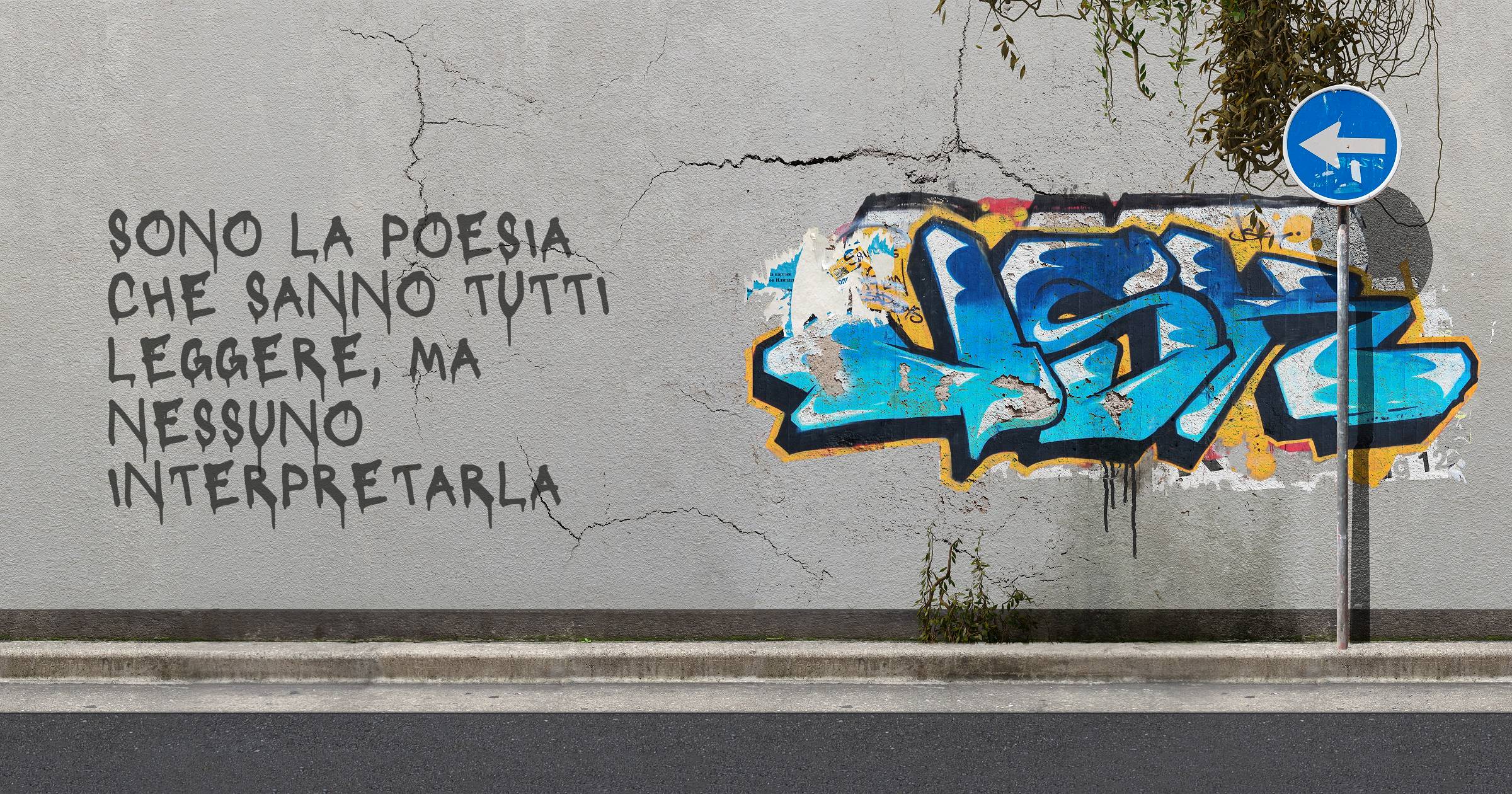 sono la poesia che sanno tutti leggere, ma nessuno interpretarla