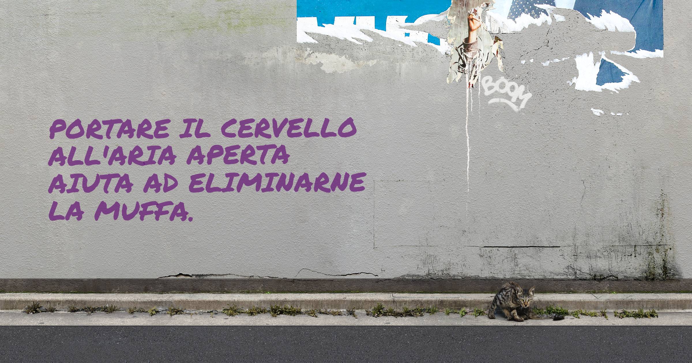 Portare il cervello all'aria aperta aiuta ad eliminarne la muffa.
