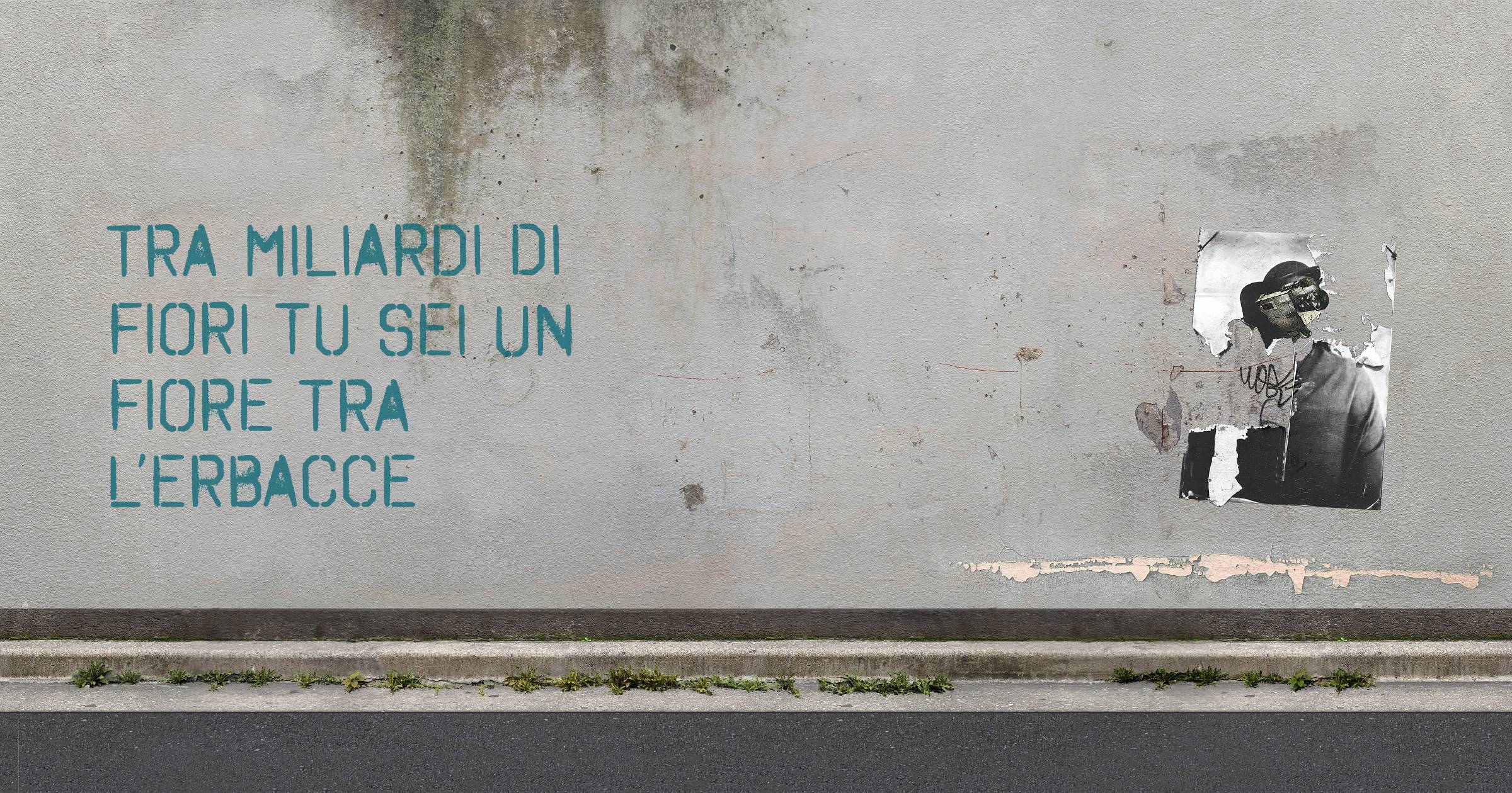 Tra miliardi di fiori tu sei un fiore tra l’erbacce