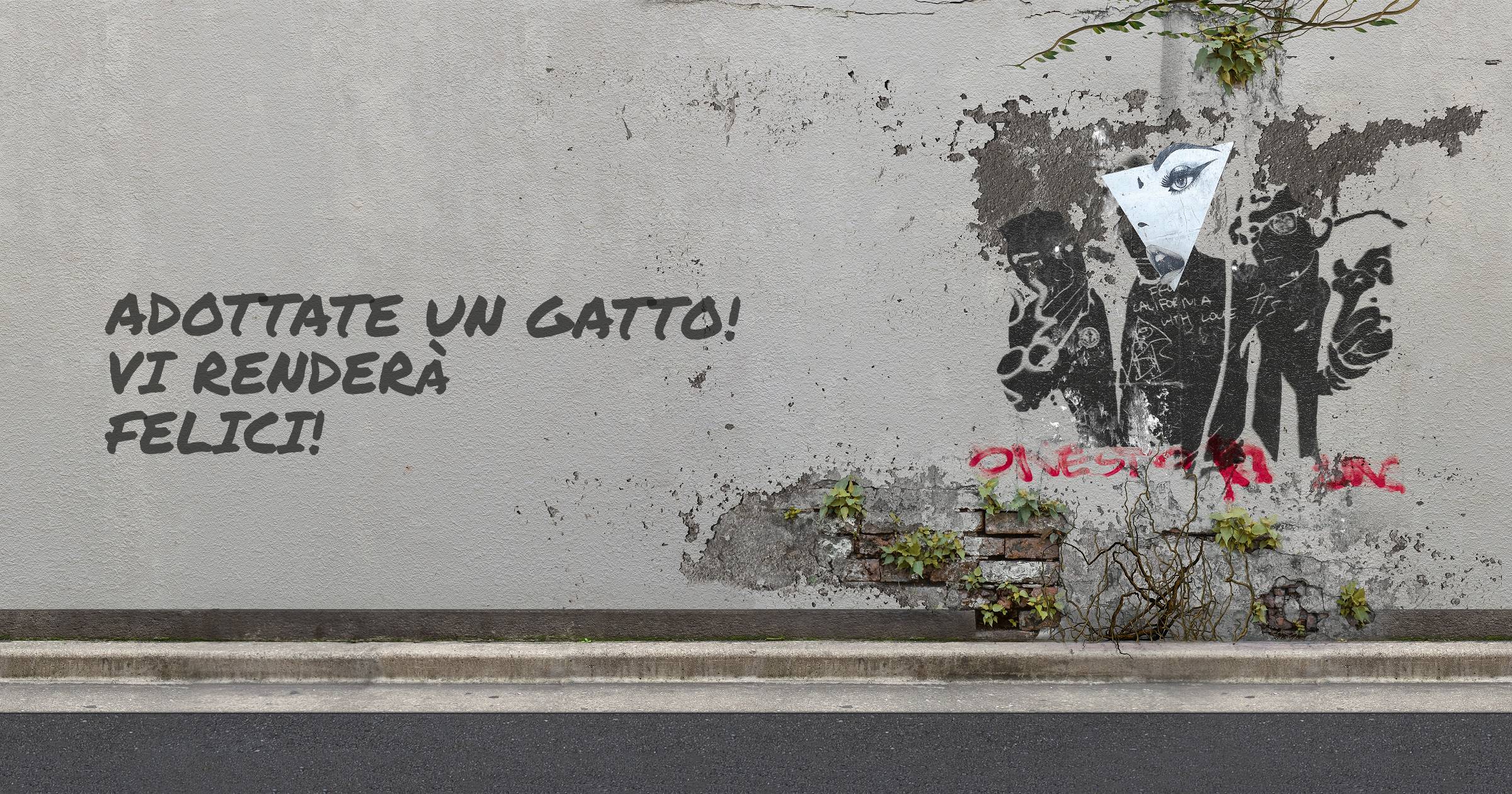 Adottate un gatto! Vi renderà felici!
