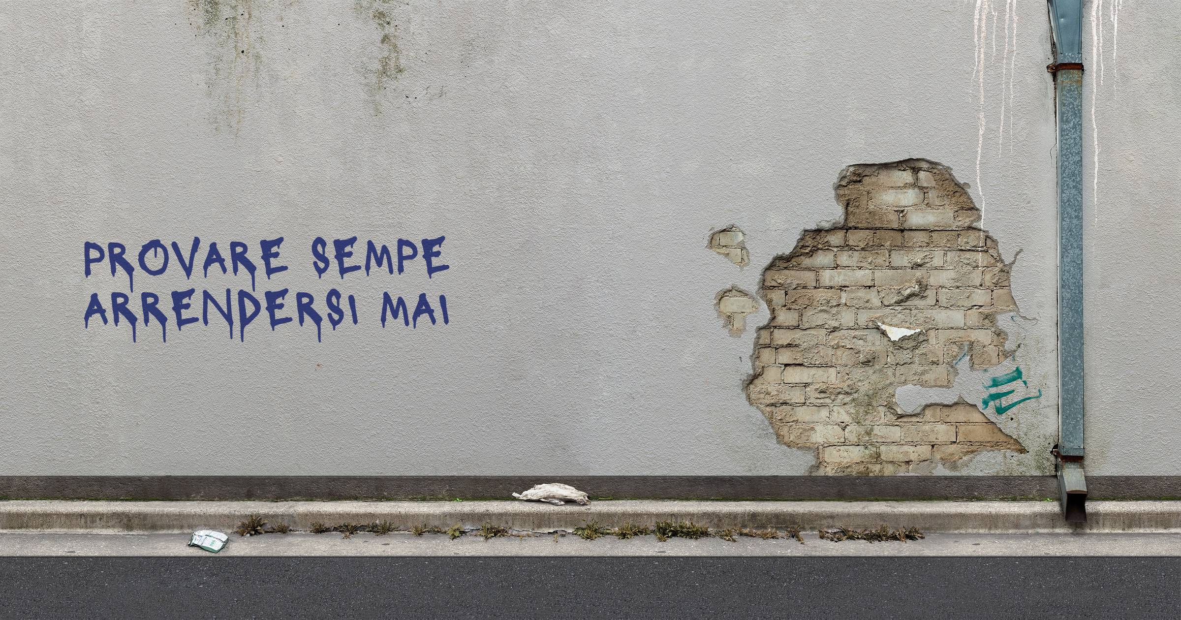 provare sempe arrendersi mai