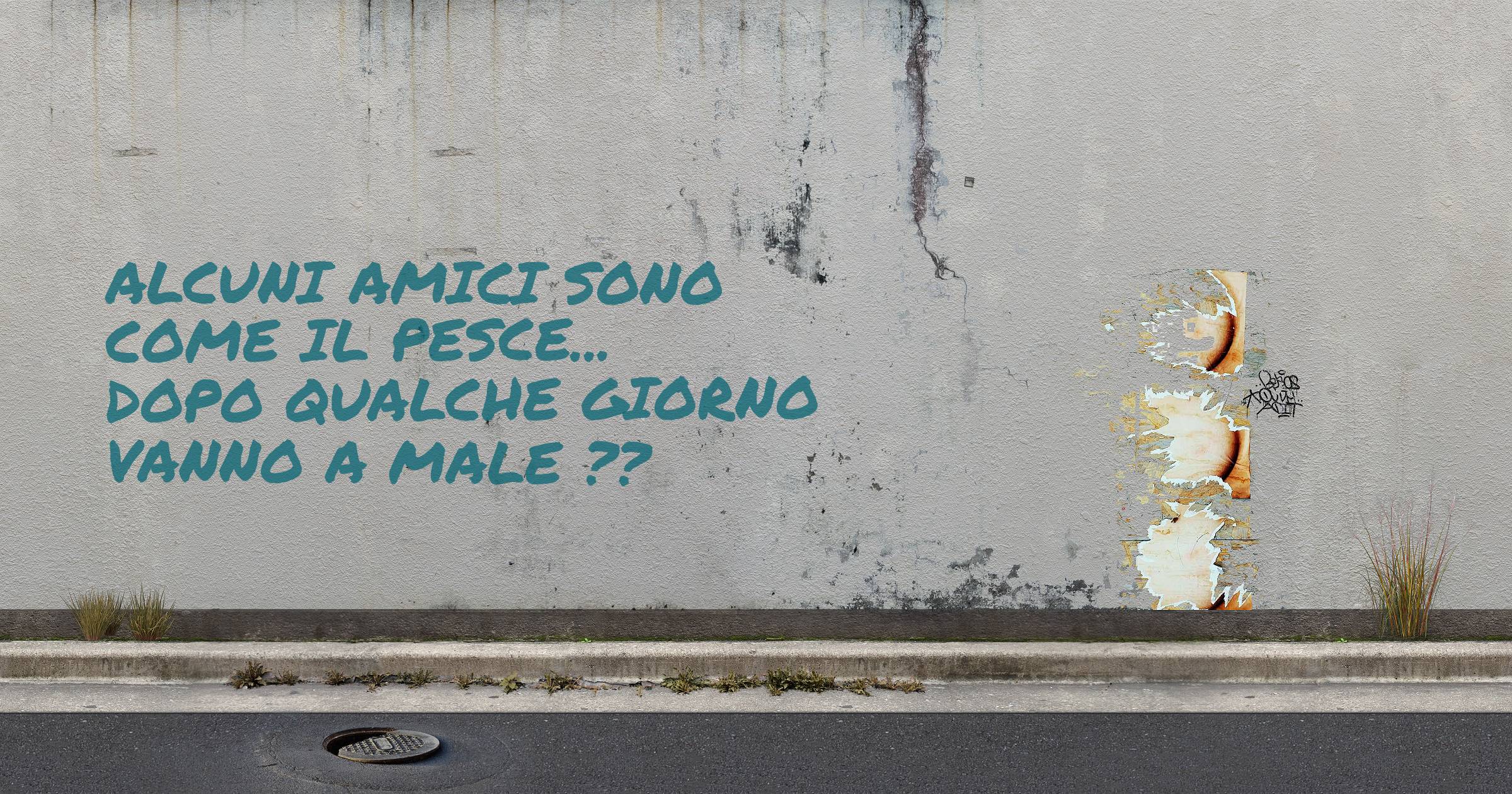 ALCUNI AMICI SONO COME IL PESCE... DOPO QUALCHE GIORNO VANNO A MALE ??