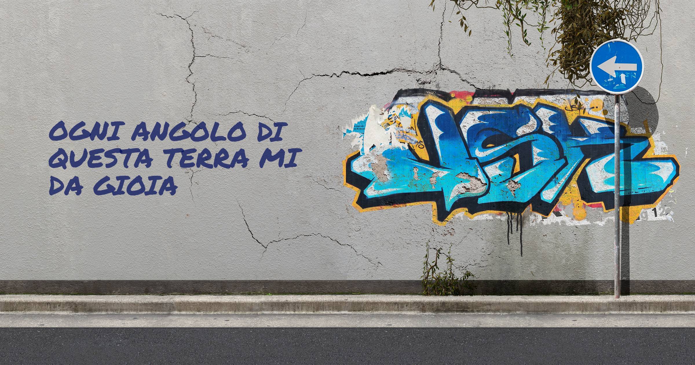 ogni angolo di questa terra mi da gioia