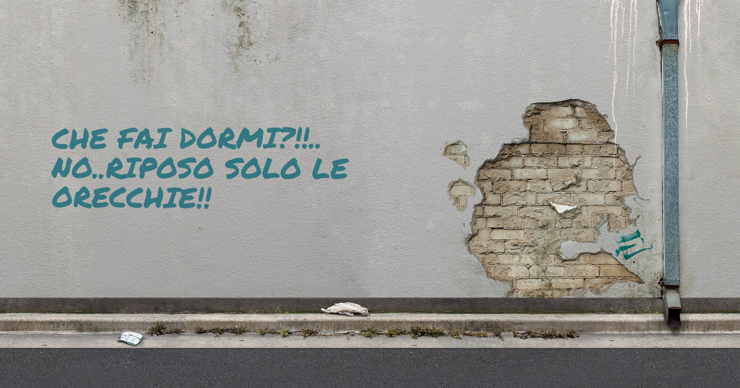 Che fai dormi?!!..
No..riposo solo le orecchie!!